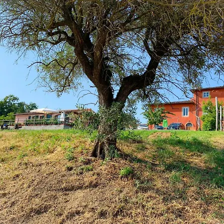 Villino Al Dotto Country House-2